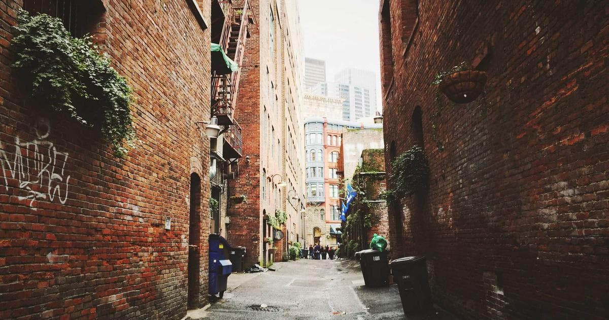 Lucid Forecasts Slower EV Growth Following Wide Fourth Quarter Earnings Miss