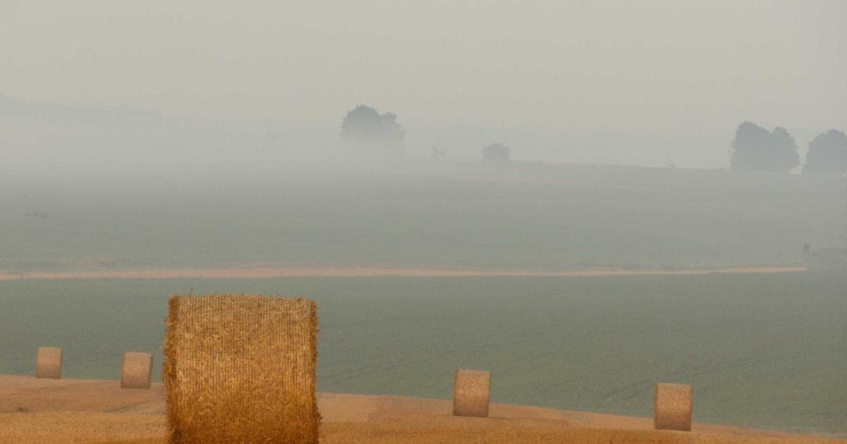 US Orders Diplomatic Push Against Global Data Sovereignty Regulations