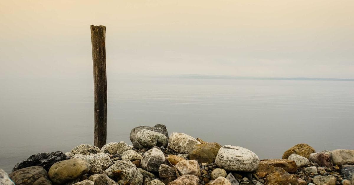 The Best Video Doorbells of 2026: AI and 2K Resolution Redefine Home Security