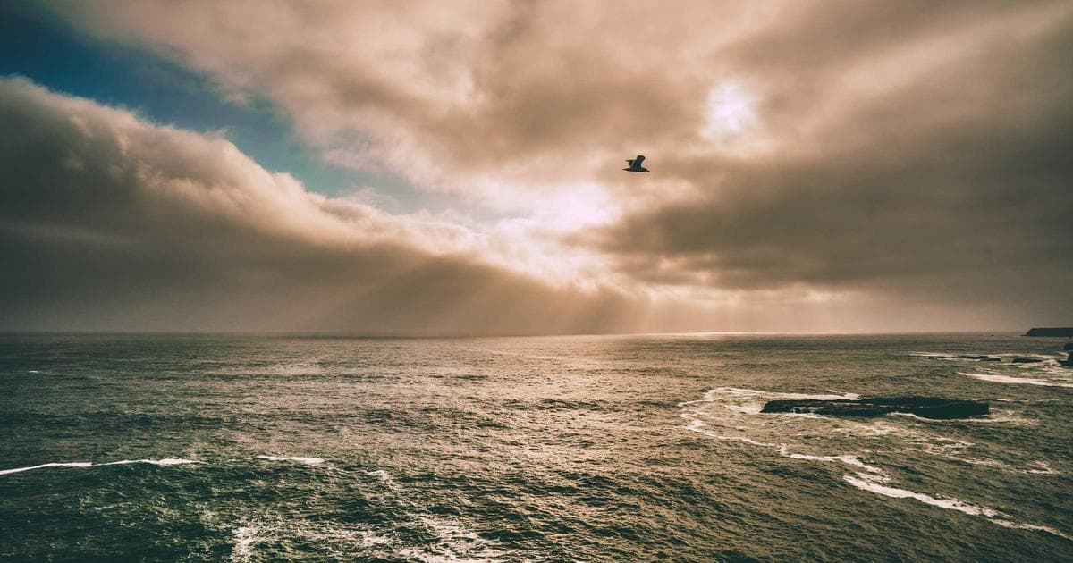 Windscribe Deploys Stealth VPN Protocol to Counter Rising Censorship in Iran and Russia