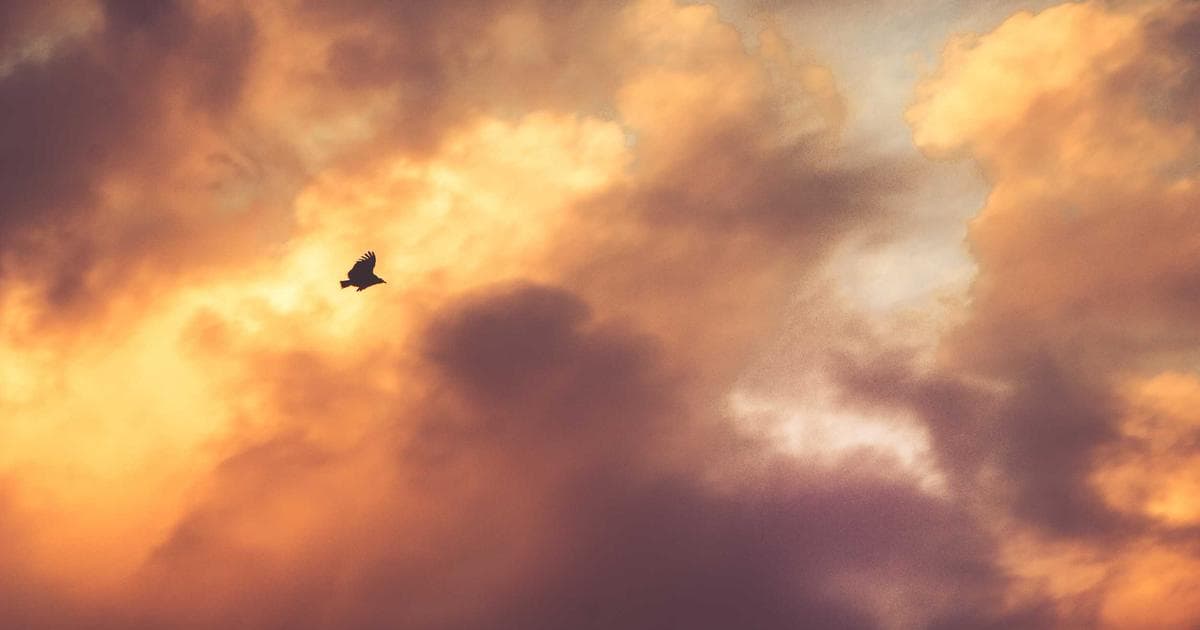 Netflix-Warner Bros. Merger Faces Multi-State Antitrust Challenge as 11 AGs Urge DOJ Probe