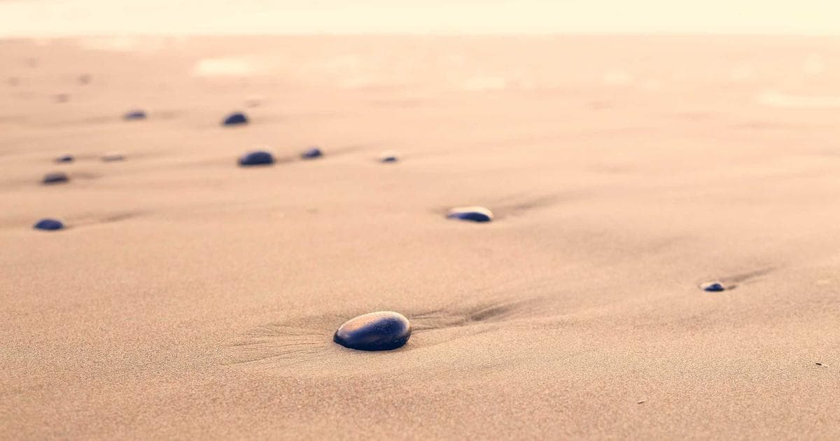 NordVPN Launches Major Mobile App Redesign Focused on Usability and Security Transparency