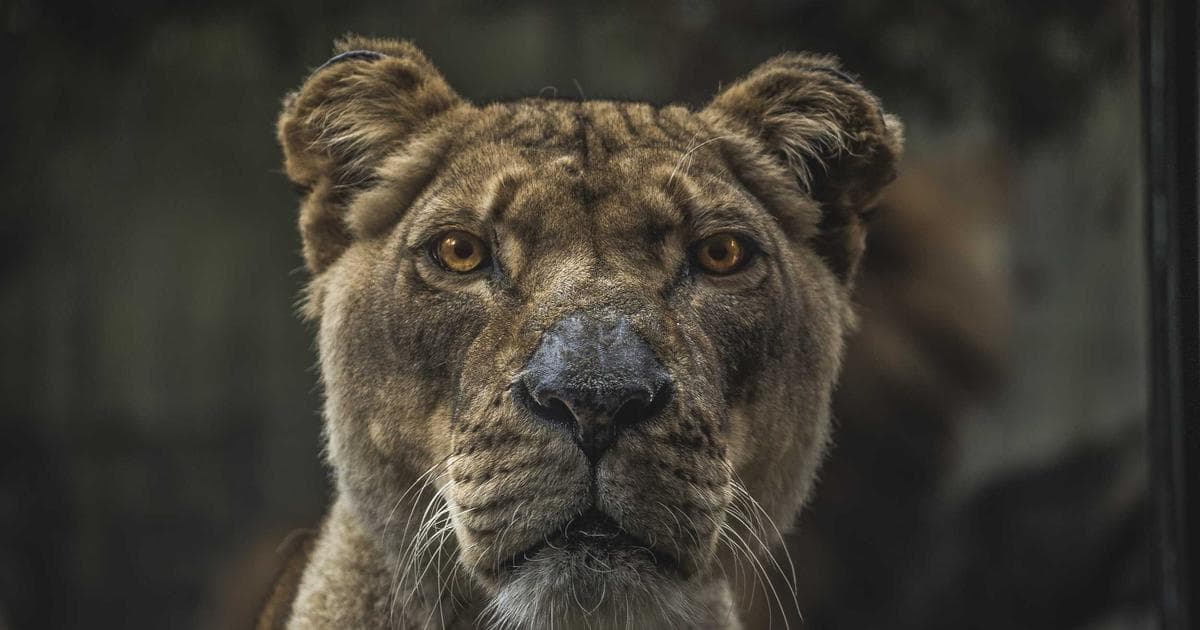 Public Pantries: How Atlanta’s Municipal Grocery Model is Challenging the Traditional Food Desert Narrative