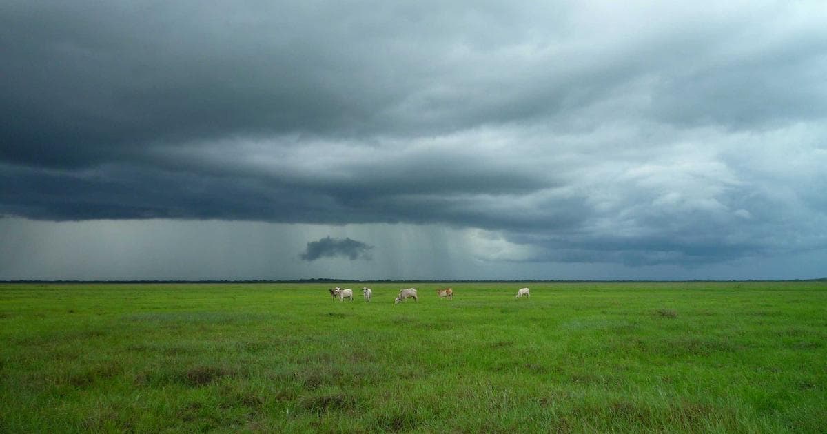 DoorDash Enters Restaurant Reservation Market to Challenge OpenTable and Resy Dominance