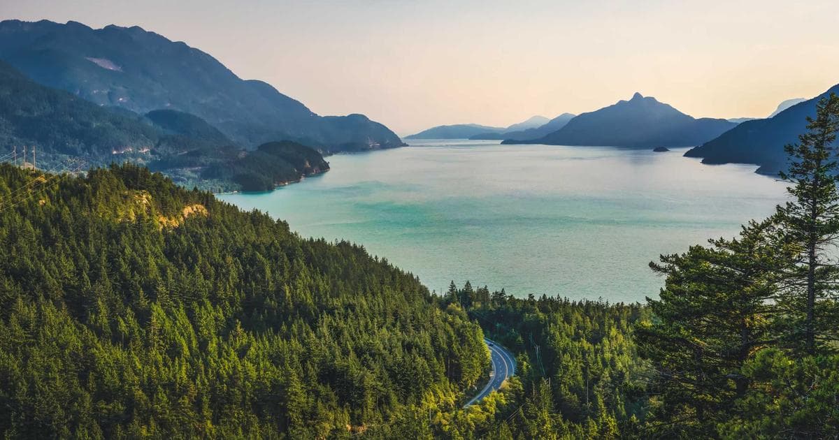 Carbon Sink Uncertainty: How Diseased Trees and Ocean 'Blind Spots' Challenge Climate Models