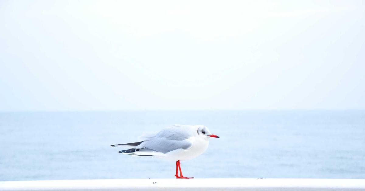 Newmark Group Reports Fourth Quarter 2025 Results as Commercial Real Estate Recovers