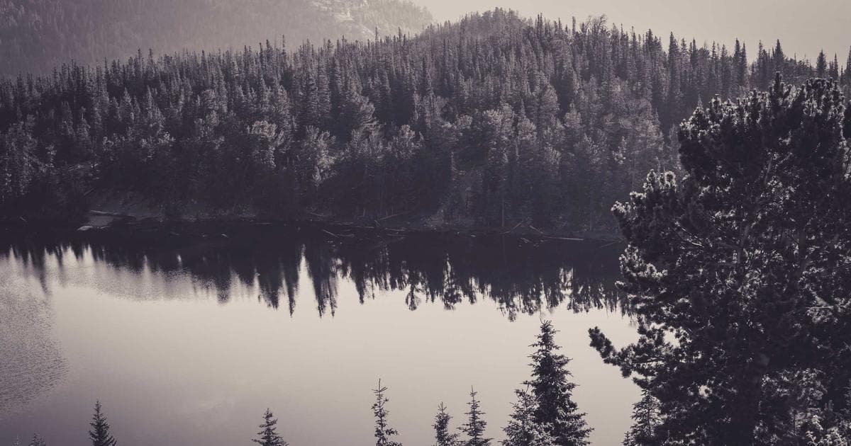 The Delevingne Signature: Why the 'Power Brow' Still Dominates Beauty in 2026