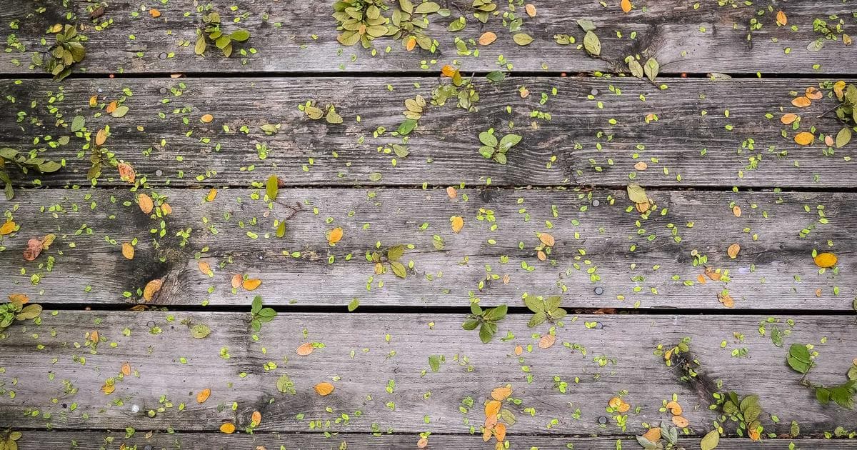 John Lewis Abandons Housebuilding Ambitions to Focus on Core Retail Strengths