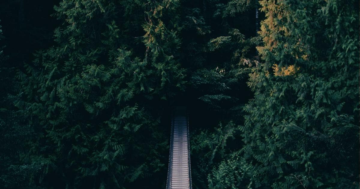 Connor Hellebuyck to Receive Presidential Medal of Freedom After Historic Olympic Gold