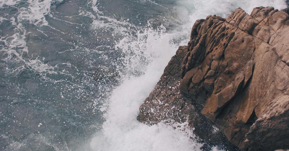 The Vitamin Shoppe Supplement Awards Reveal Top Nutritional Innovations of 2026