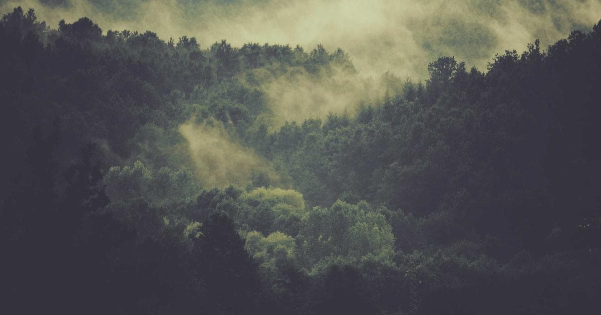 Apple Shareholders Reject Proposal for China Manufacturing Risk Disclosure