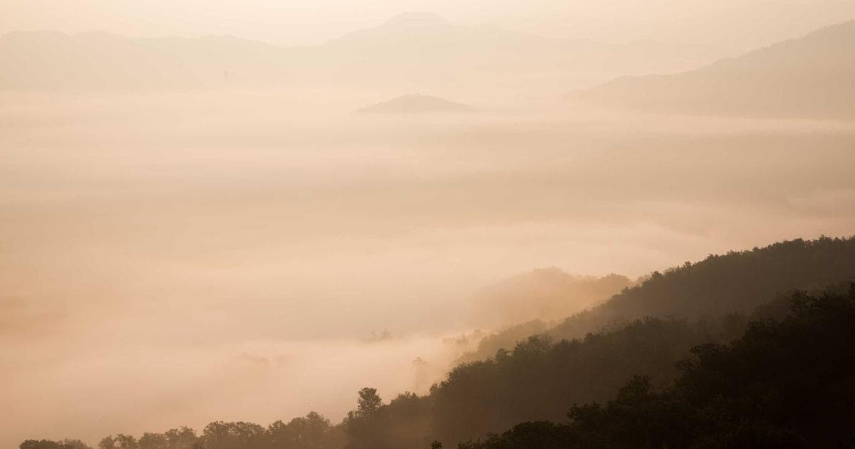 A Century and a Half of Spirits: The Enduring Legacy of Denver’s Oldest Bar