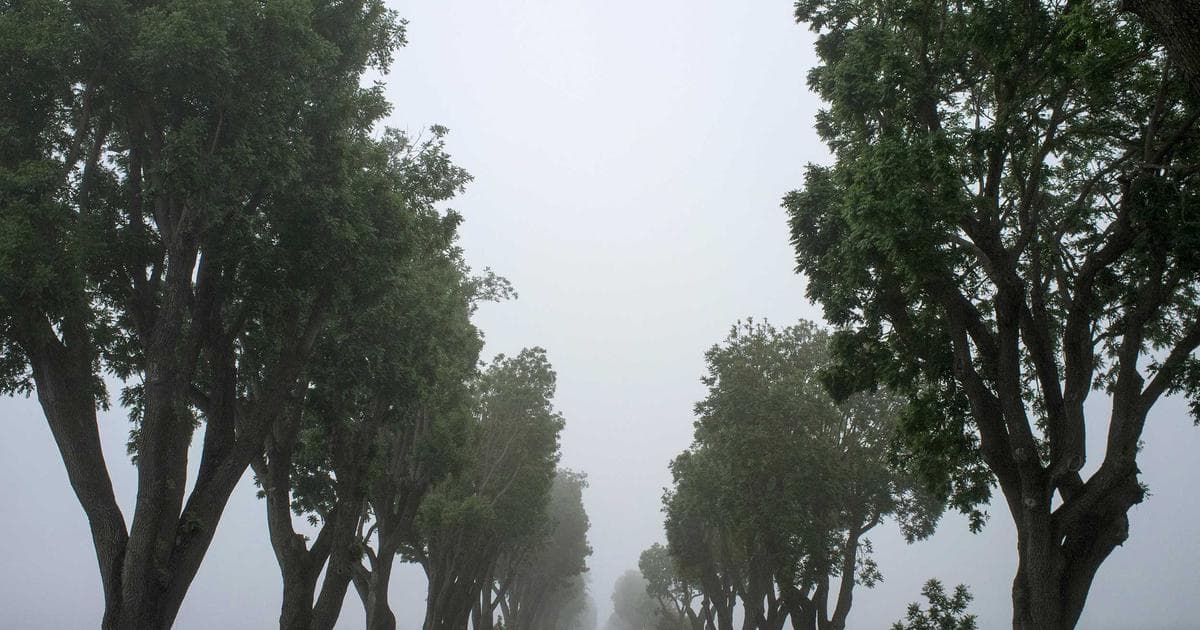 The $470,000 Hedge: Why an Accountant Bet His Life Savings Against the DOGE Hype