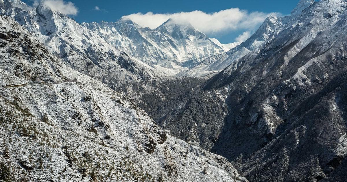 The $8,000 Treasure: Rare Buffalo Trace Bourbon Sighted in Costco Liquor Aisles