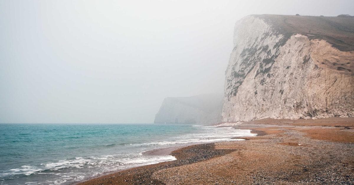 Invisible Blue Glow: Scientists Capture First Real-World Proof of Treetop Electrical Coronae