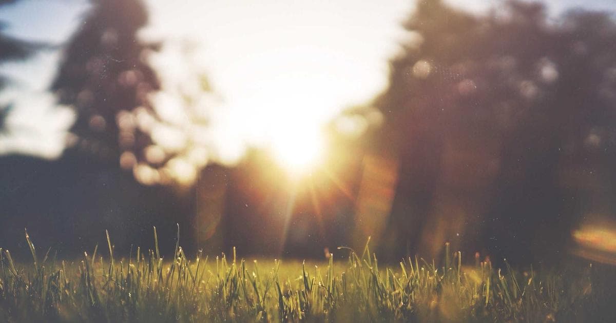 Galaxy S26 Series Arrives as Samsung Pivots to Hardware-Based Privacy and Agentic AI