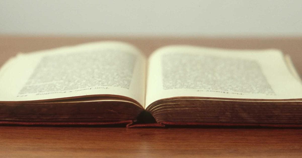 The Science of the Swirl: Why Cinnamon Toast Crunch Bread is the Ultimate 2026 Comfort Bake