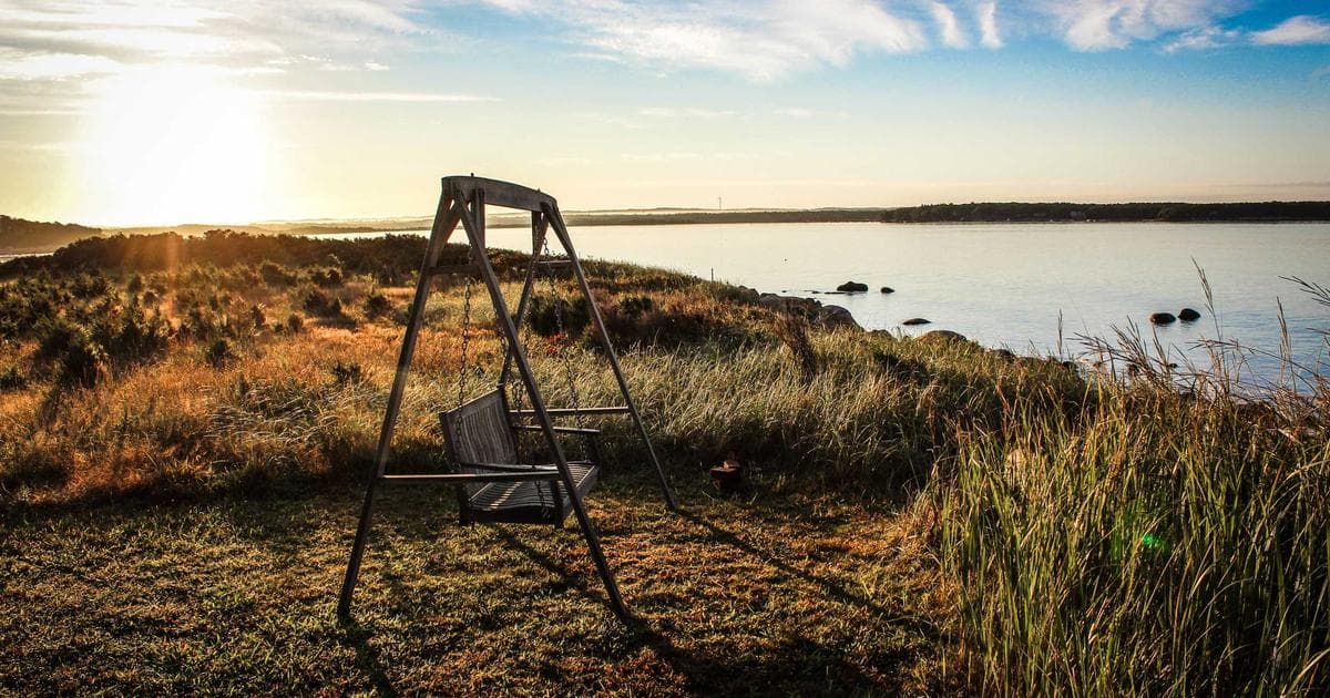 Anthropic Acquires Computer-Use Startup Vercept to Accelerate Agentic AI Roadmap