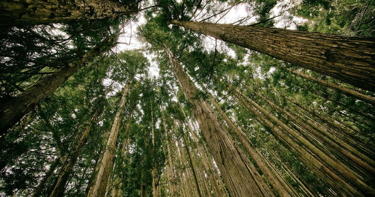 Scrubs Revival Premieres on ABC: JD and Elliot’s New Reality at Sacred Heart