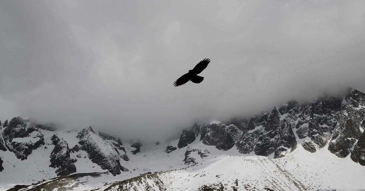 Brazil Supreme Court Issues Steep Sentences in Marielle Franco Assassination Case