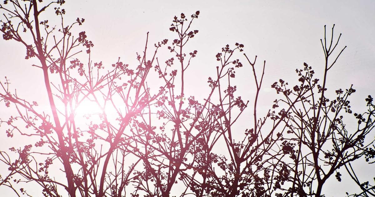 Rising Tensions: Navigating the Expanded Travel Warnings Across the Middle East