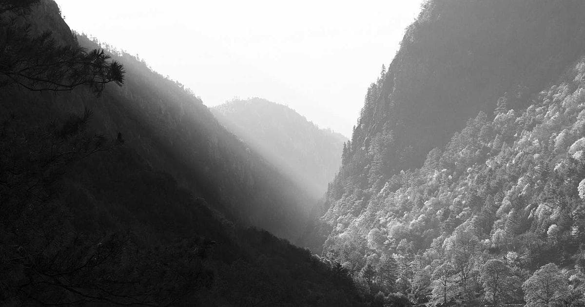 Junior H and Gael Valenzuela Secure No. 1 Debut with Collaborative Album DEPR</3$$ED MFKZ