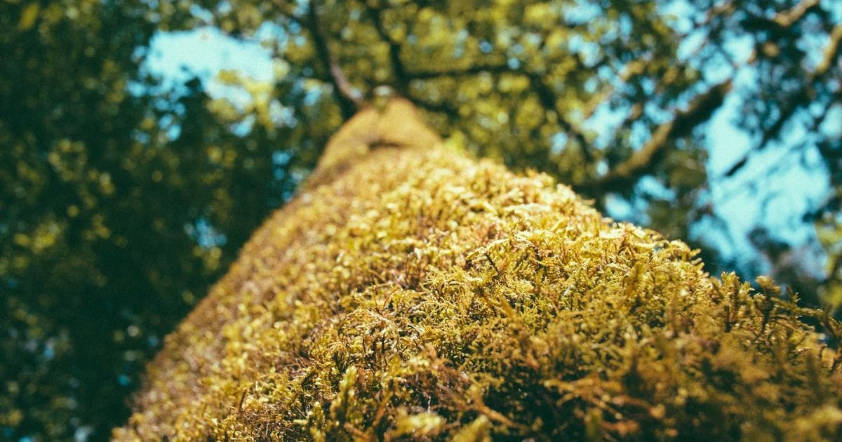 Paul Anthony Kelly and the Return of the Natural Leading Man