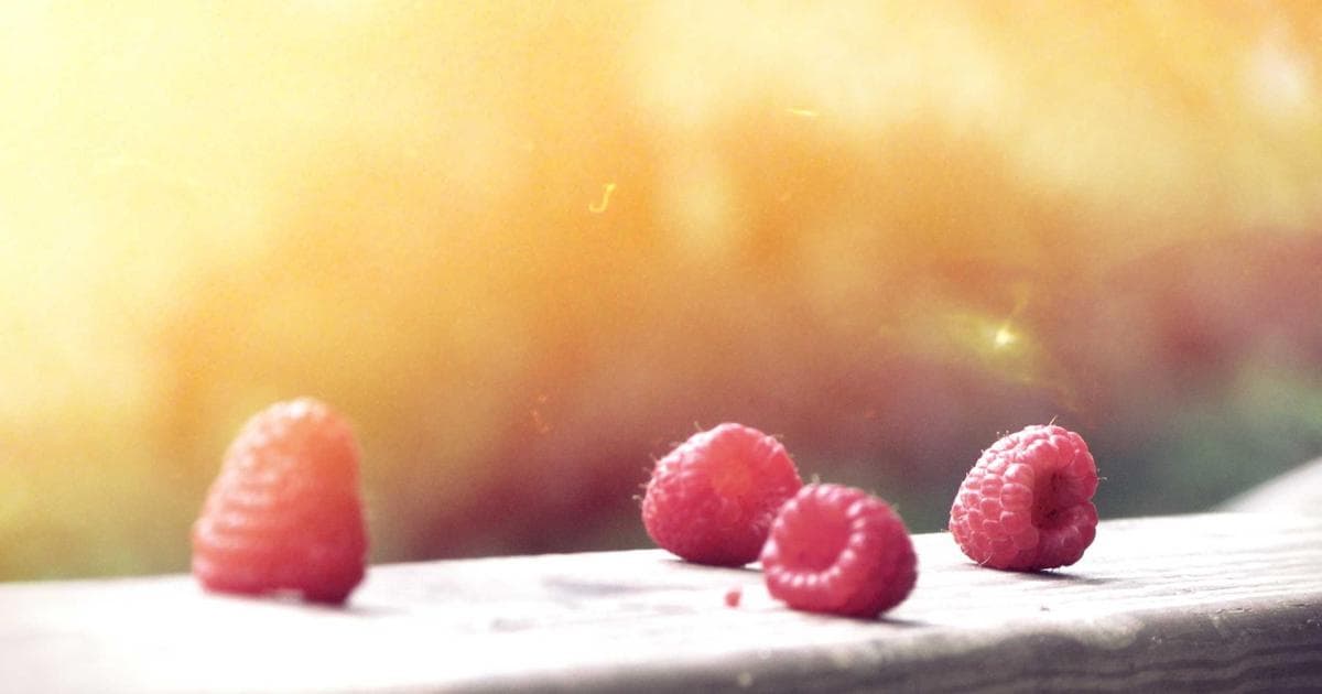 Visa Denials Challenge Cuban National Team Ahead of 2026 World Baseball Classic