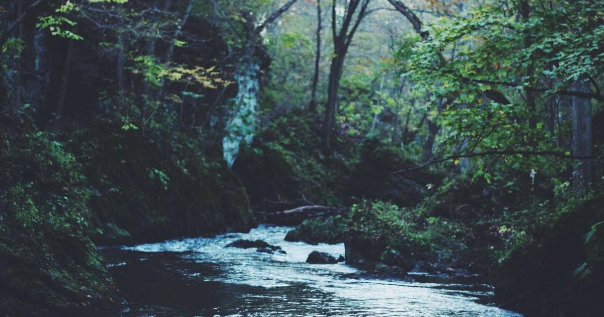 The 2026 Guide to Sexual Wellness: Why Material Safety and Sonic Tech are Defining Modern Pleasure