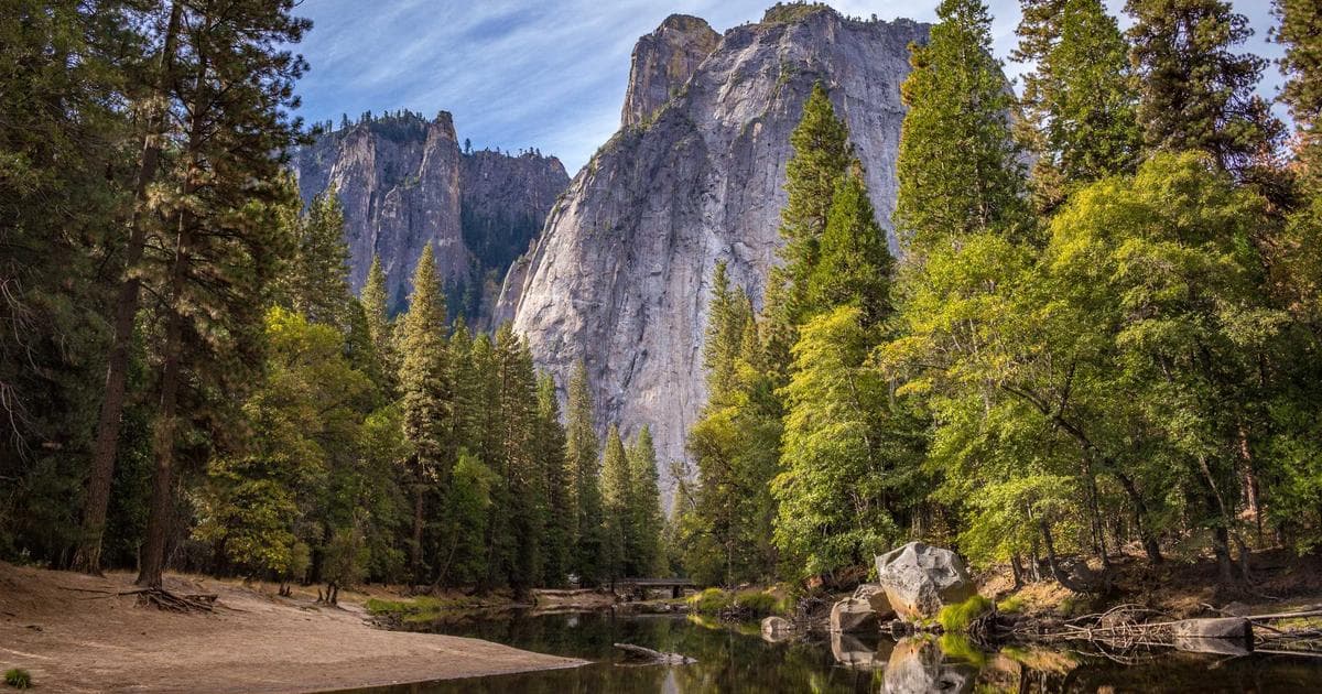 The Price of Progress: San Jose Business Sues VTA Over Eminent Domain Revenue Collapse