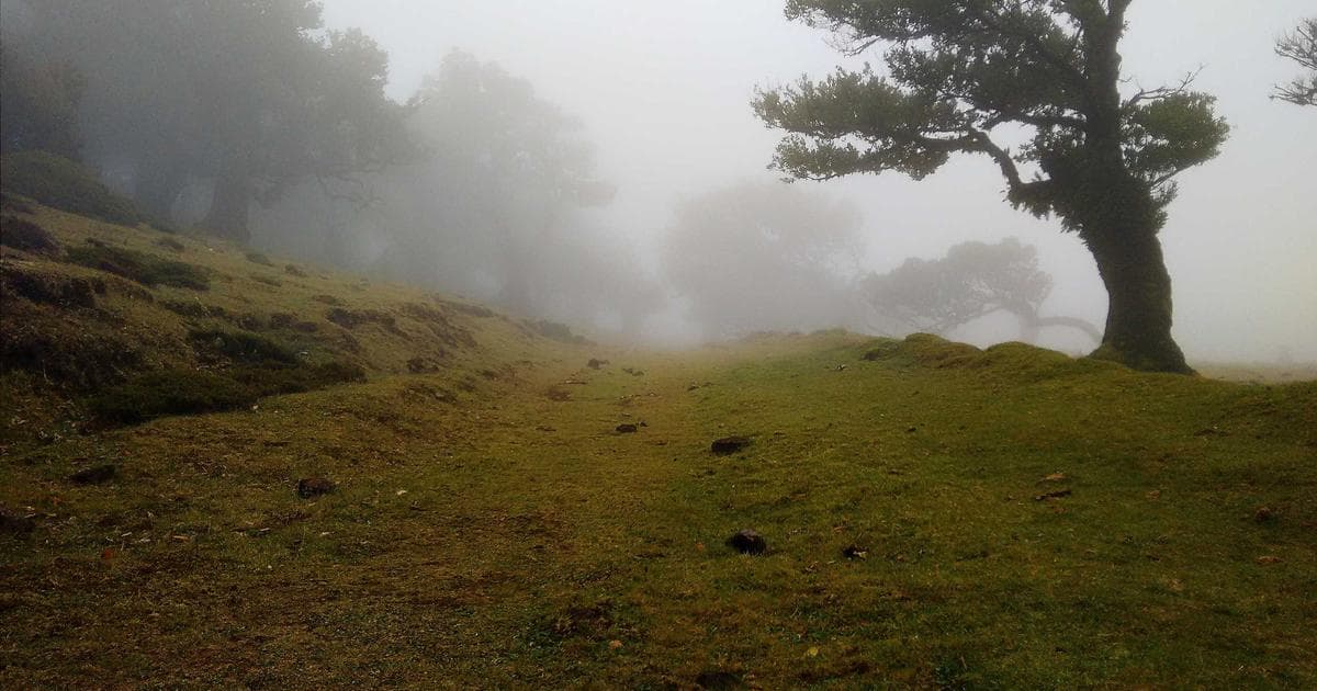 The Culinary DNA of the 24/7 Diner: How Waffle House Preserved the Toddle House Legacy