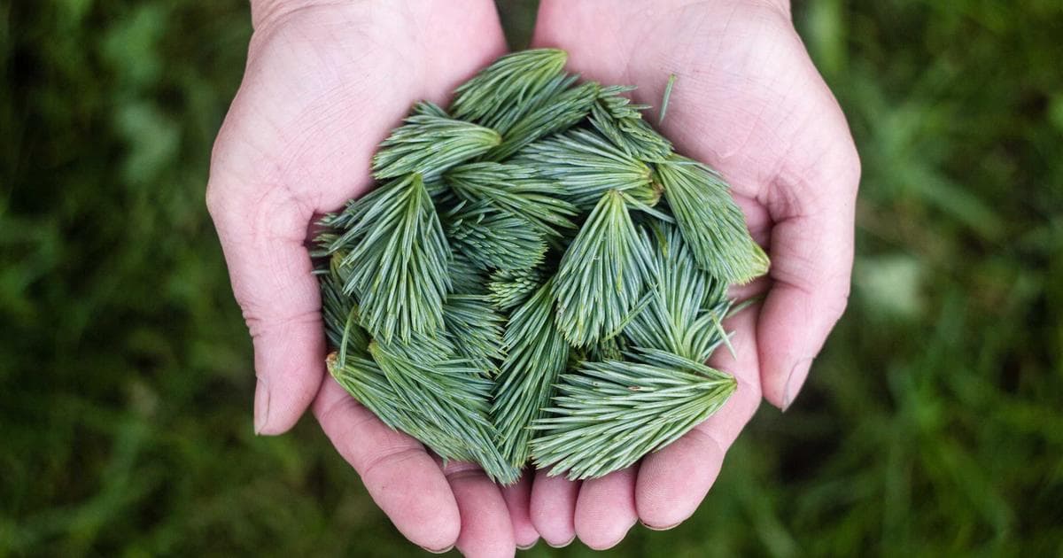 University of California Navigates $2 Billion Debt Sale Amid Federal Policy Shifts