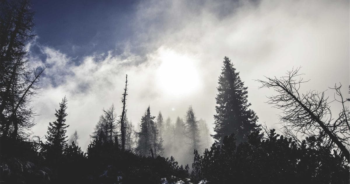 Ghostface Returns Amidst Industry Friction as Scream 7 Premiere Draws Vocal Protests