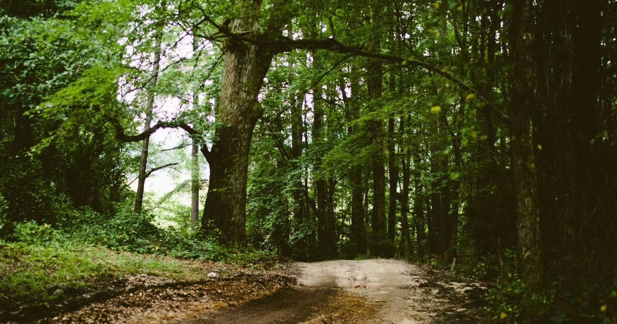 Adult Swim's 'Smiling Friends' to Conclude After Season 3 as Creators Prioritize Creative Integrity