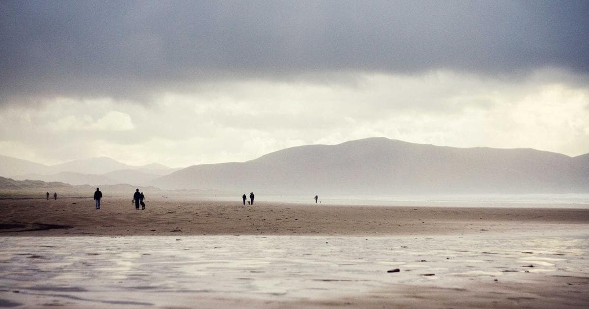 Creators of Adult Swim Hit Smiling Friends Announce Series Conclusion After Season 3