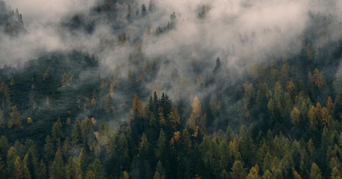 From Scraps to Kilowatts: The Growing Global Shift Toward Food Waste Energy