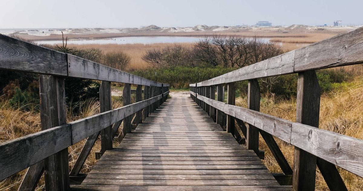 T20 World Cup 2026: India Faces Must-Win Scenario Against Zimbabwe Following South Africa Setback