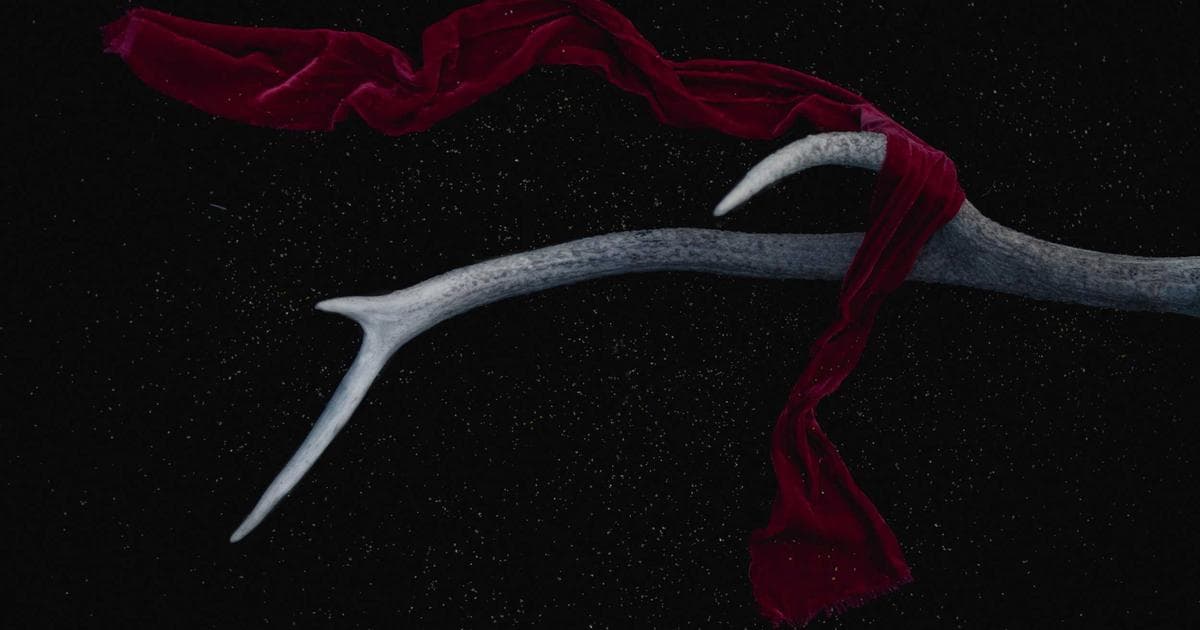 Ambient Empathy: Amazon Updates Alexa to Mirror User Moods and Personalities