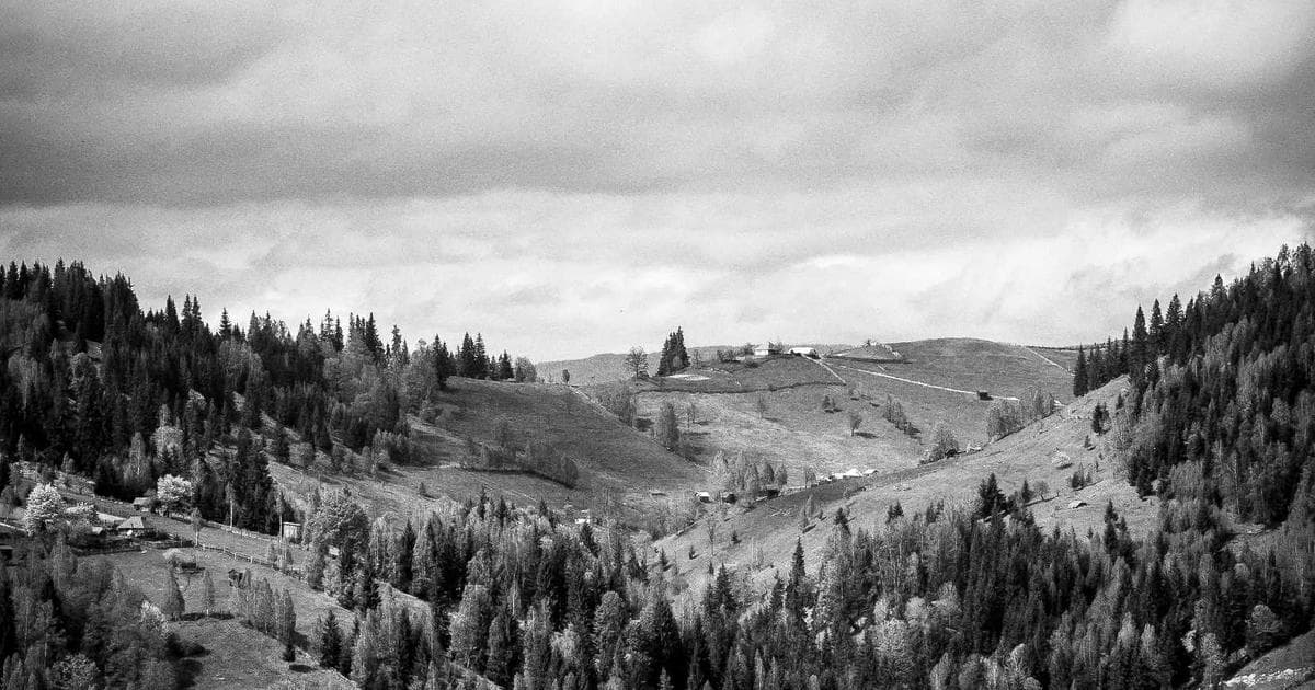 Bridgerton Season 4 Finale: The Post-Credits Wedding Scene You Might Have Missed