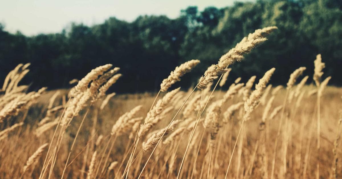 Kash Patel Dismisses FBI Personnel Linked to Trump Classified Records Investigation