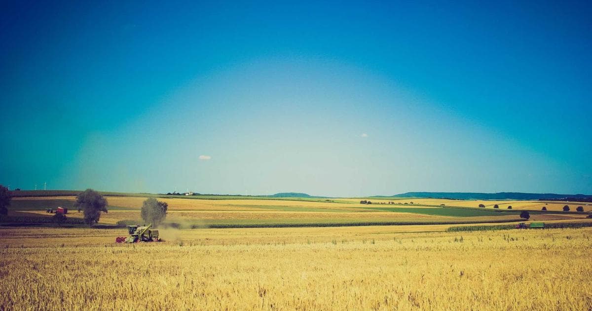 The 2026 Suppie Awards: Defining Quality in an Overcrowded Supplement Market