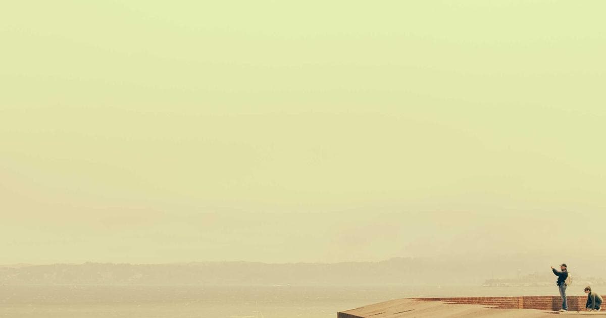 Market Concentration: D.E. Shaw Outlines the Long Road to S&P 500 Normalization