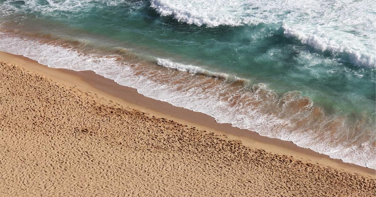 Berlinale Director Tricia Tuttle Faces Leadership Crisis Amid Political Backlash and Staff Support