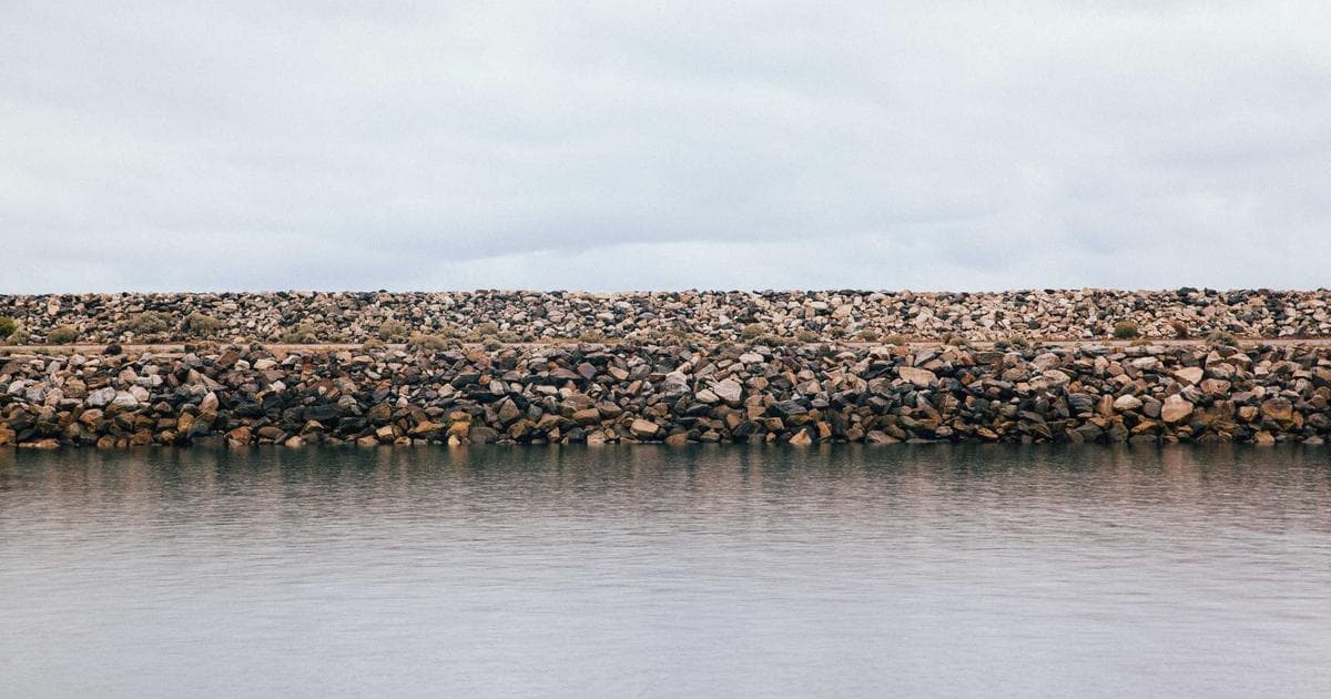 Bridgerton Showrunner Reveals the ‘Different’ Trajectory for Eloise’s Surprising Love Story