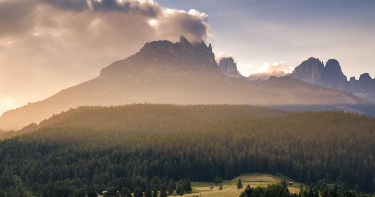 Pecans Emerge as Heart-Health Powerhouse in Comprehensive 25-Year Scientific Review