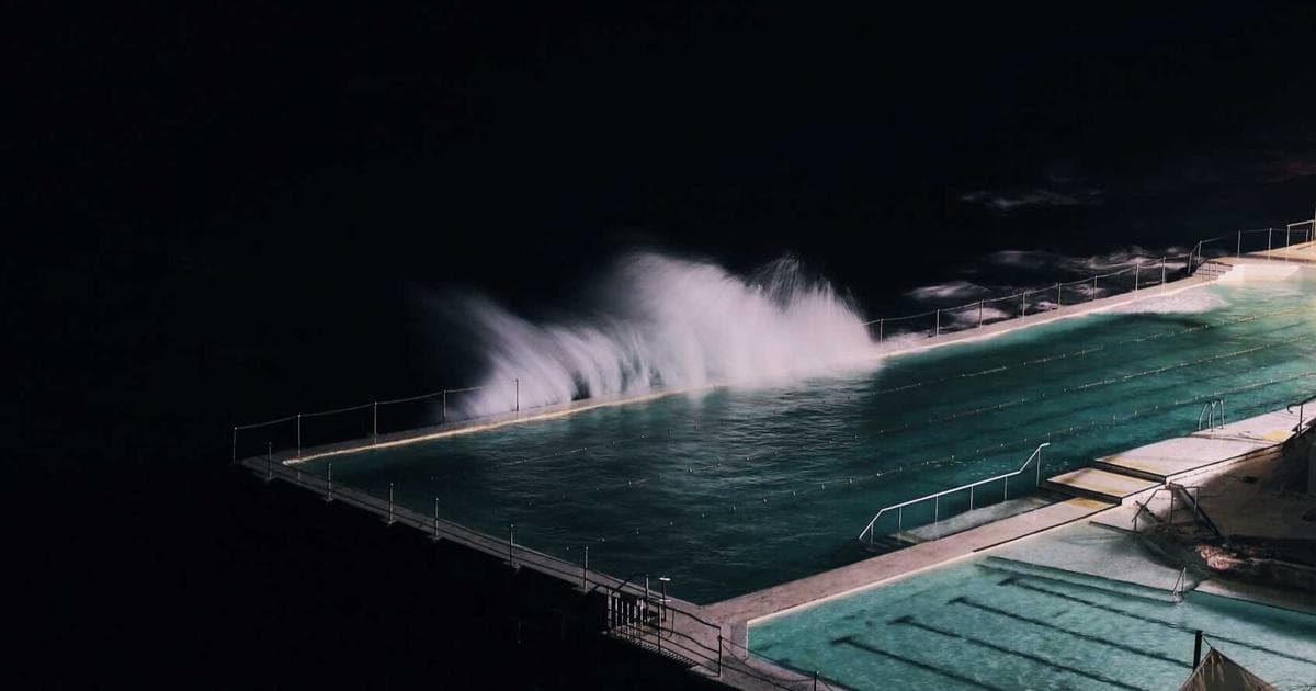 A Living Legacy: Japan Gifts 250 Cherry Trees to Washington D.C. for America’s Semiquincentennial