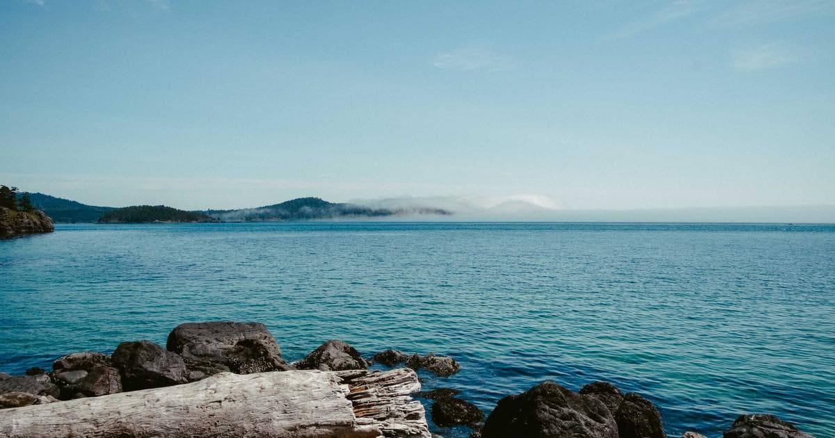 Meta to Notify Parents When Teens Search for Suicide and Self-Harm Content on Instagram