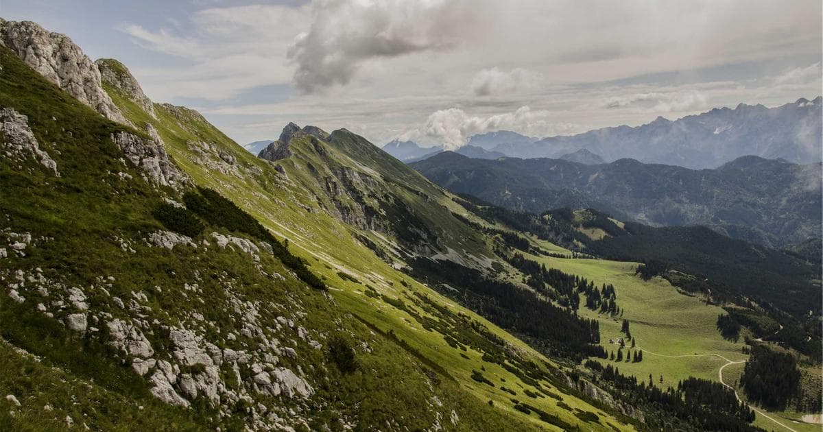 Nutanix Faces Supply Chain Friction as SaaSpocalypse Reshapes Enterprise Software Landscape