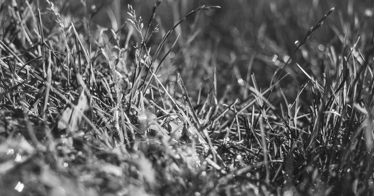 Jamiroquai Returns: Space Cowboys Ink Global BMG Deal for Ninth Studio Album