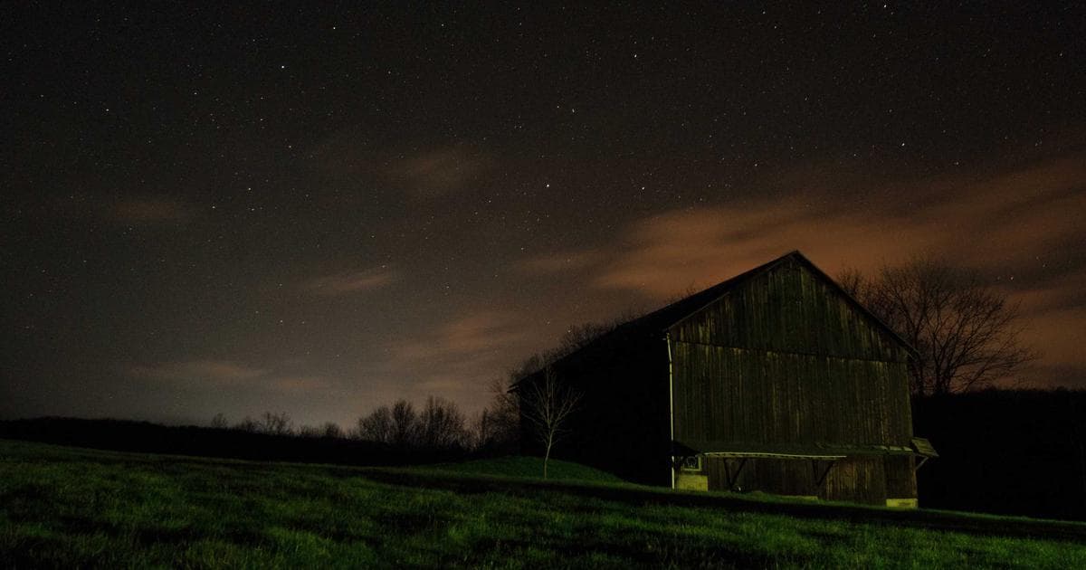 Proactive Urinary Health: The Shift Toward Preventive Care for Recurrent UTIs